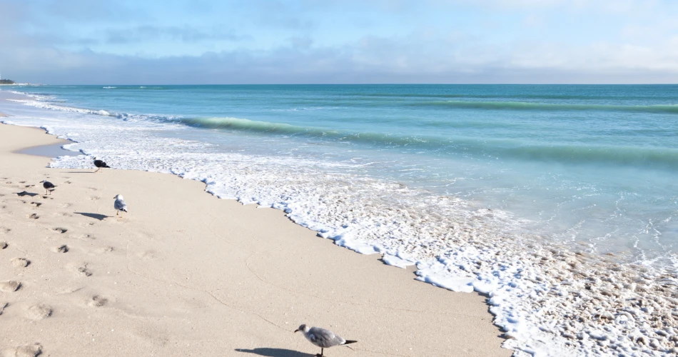 Miami Beach Vibes: Where Luxury Living Meets Oceanfront Fun