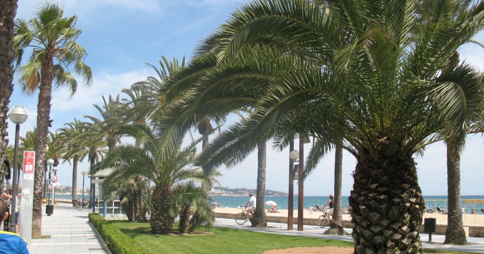 Art Deco & Ocean Drive: The Soul of Miami Beach